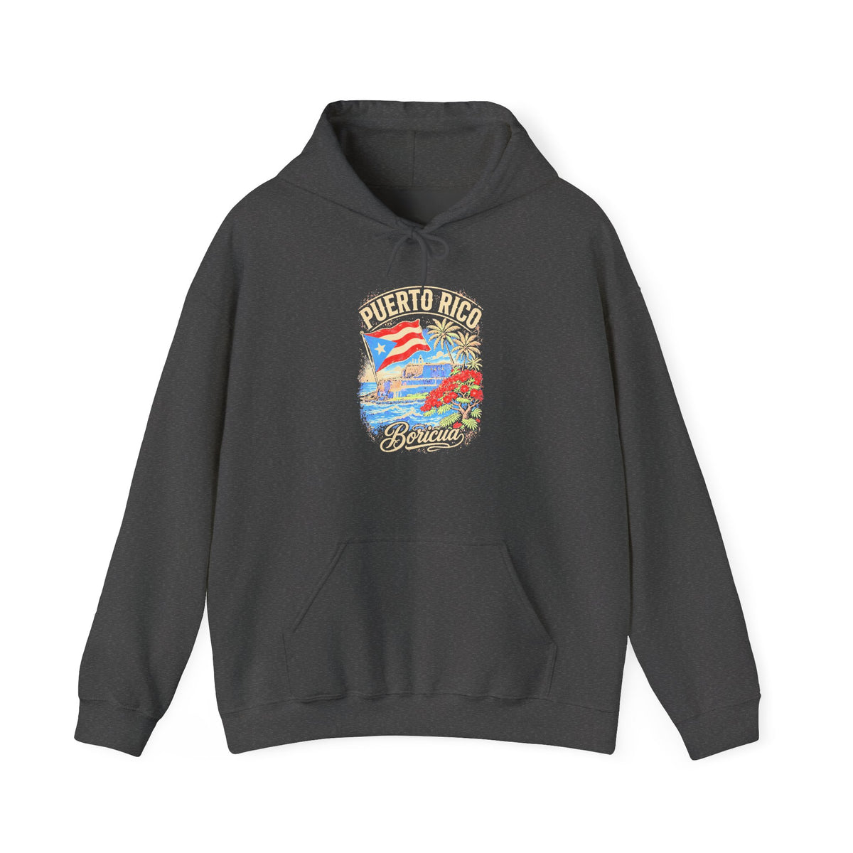 Puerto Rico Boricua Graphic Hoodie