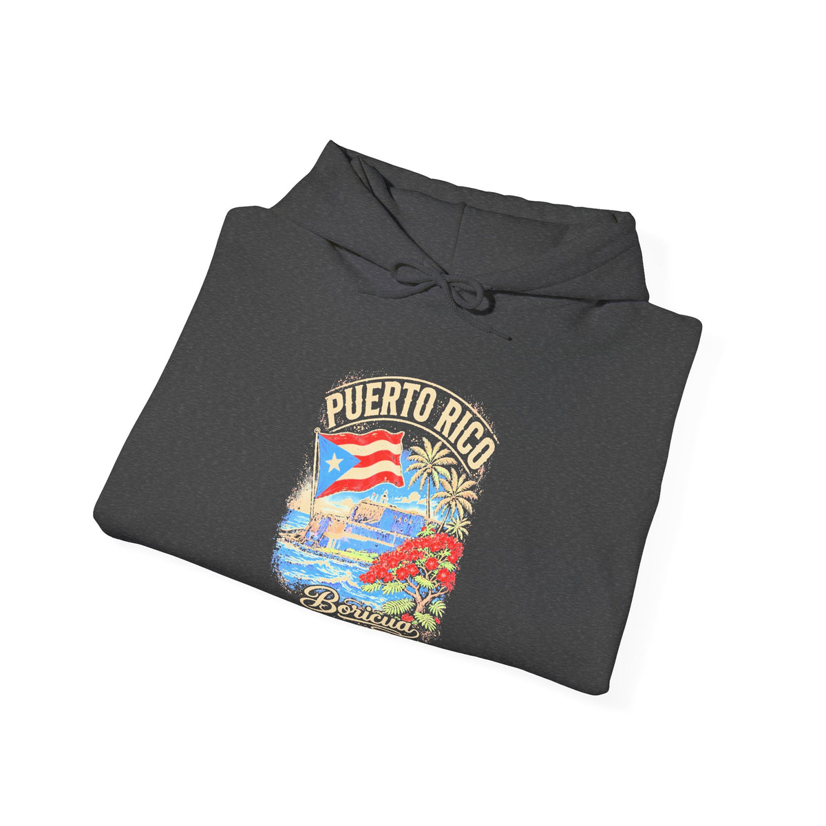 Puerto Rico Boricua Graphic Hoodie