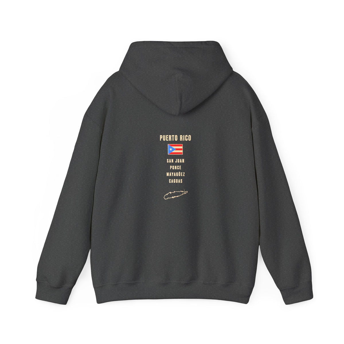 Puerto Rico Boricua Graphic Hoodie