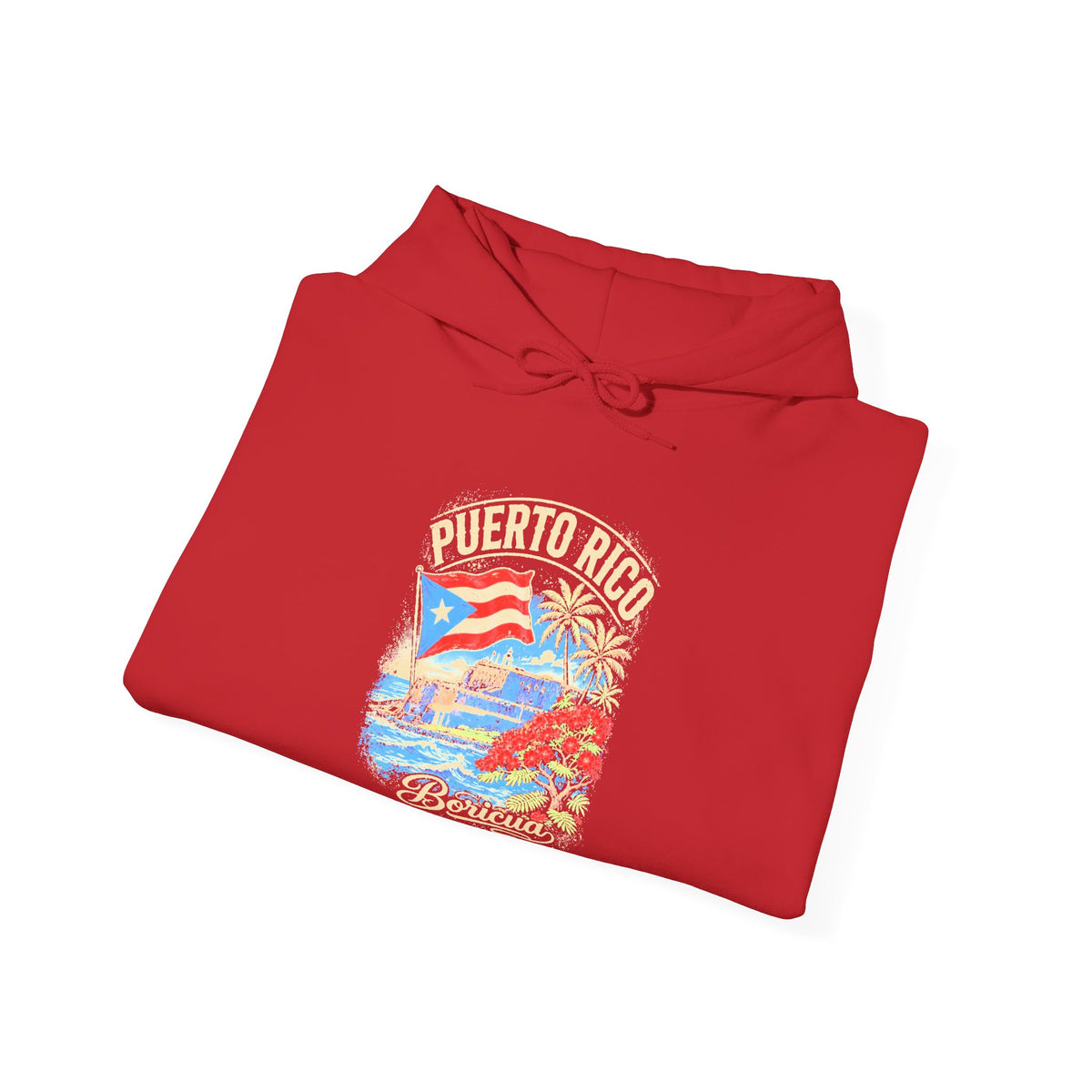 Puerto Rico Boricua Graphic Hoodie