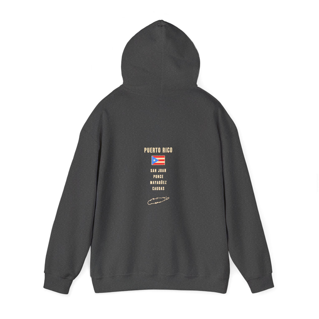 Puerto Rico Boricua Graphic Hoodie