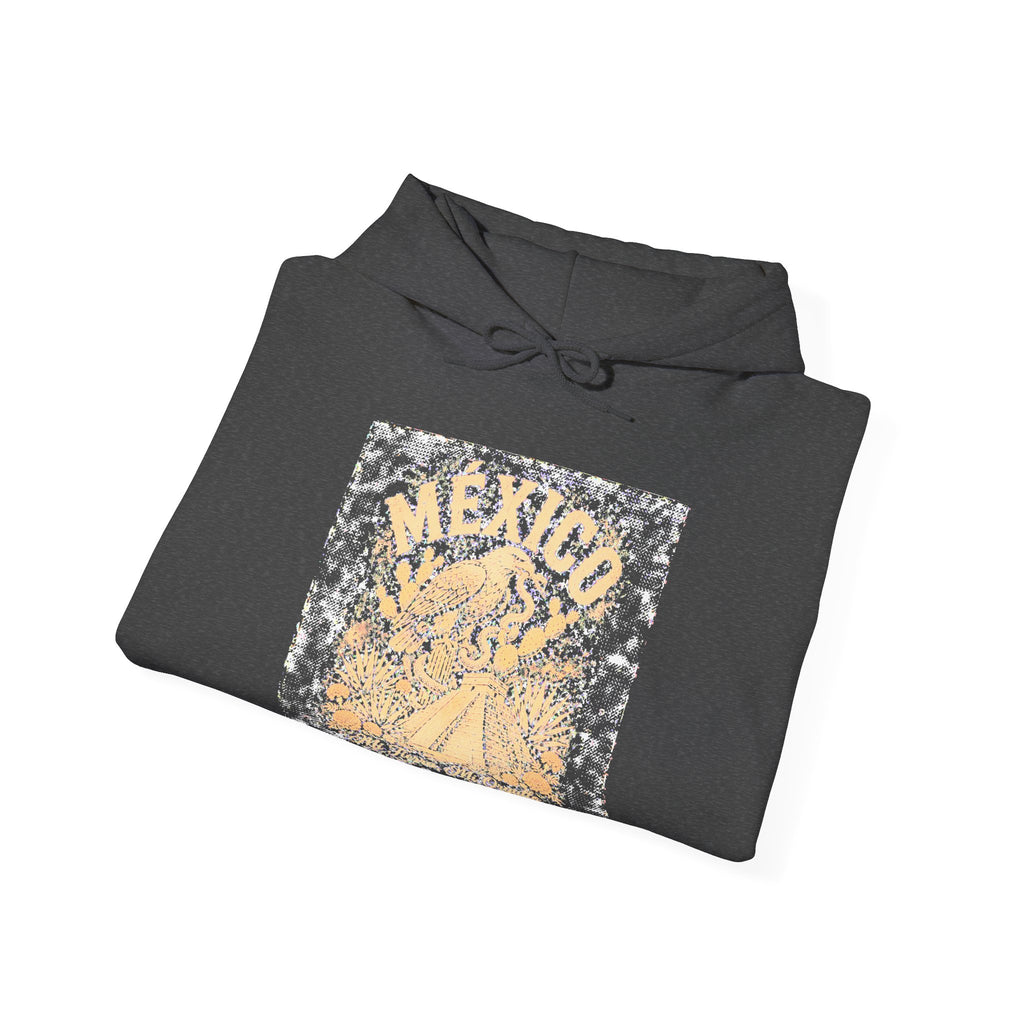 México Heritage Graphic Hoodie