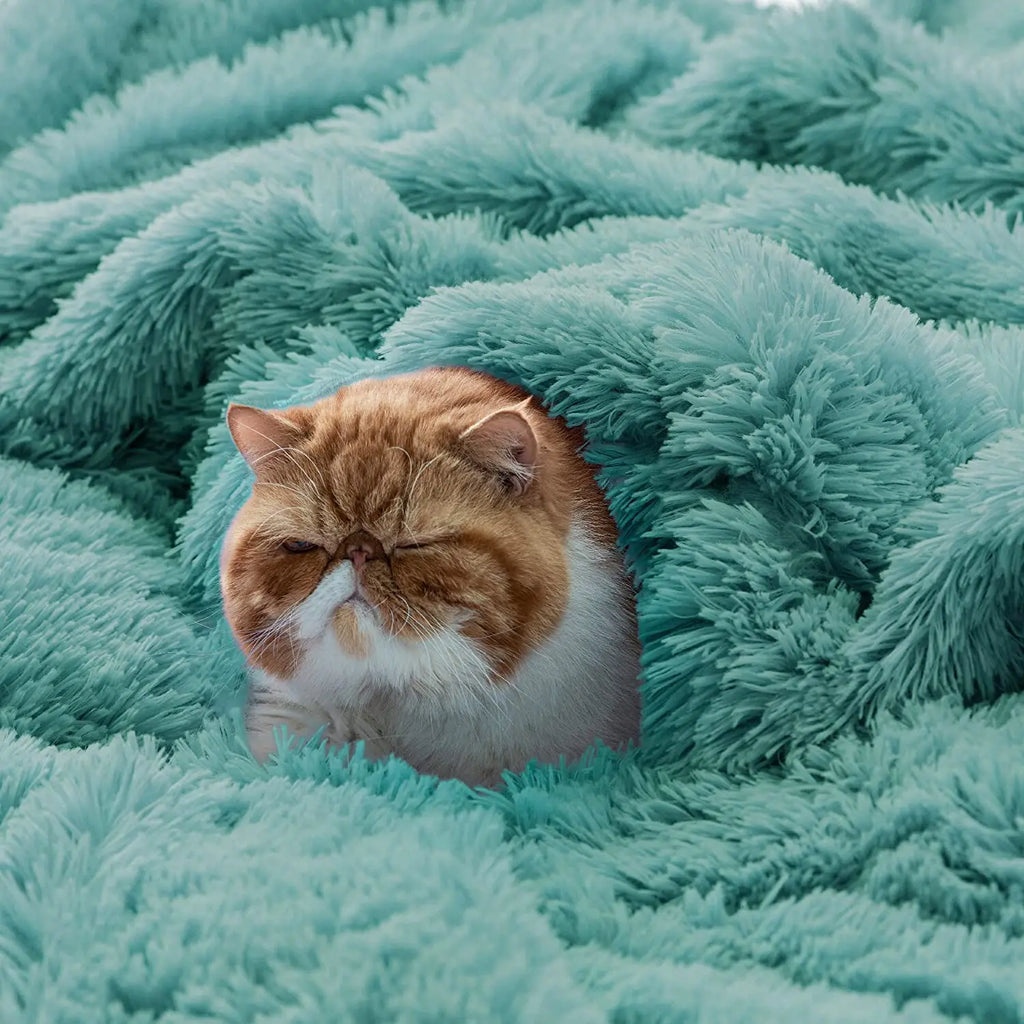 Shaggy Faux Fur Sherpa Throw Blanket - Reversible Fluffy Plush Blanket for Couch & Sofa