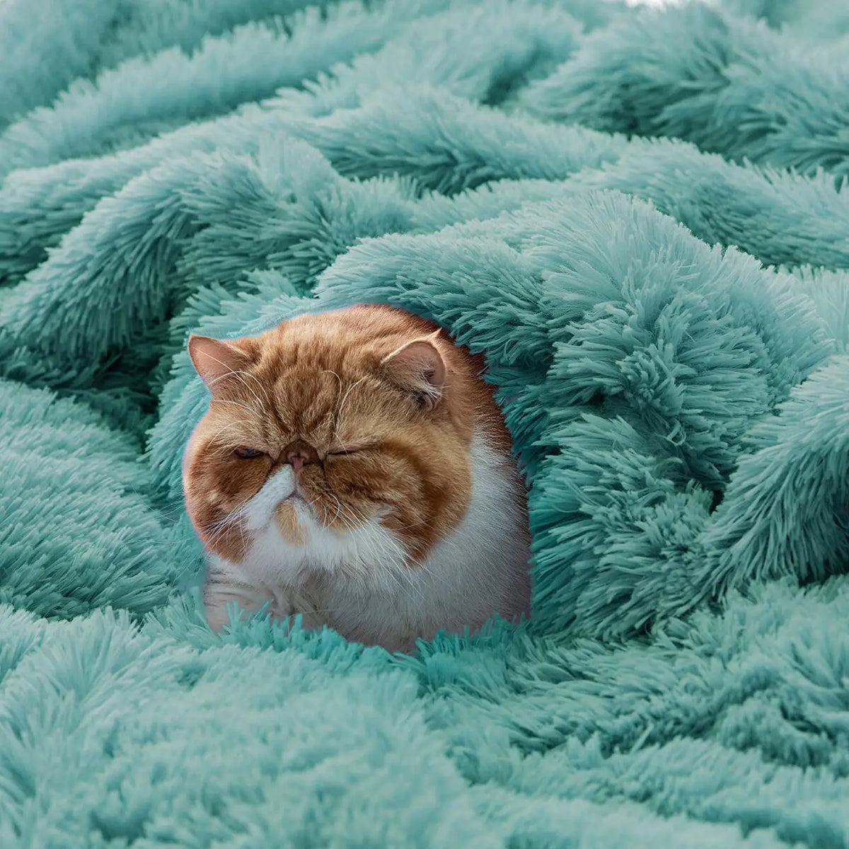 Shaggy Faux Fur Sherpa Throw Blanket - Reversible Fluffy Plush Blanket for Couch & Sofa