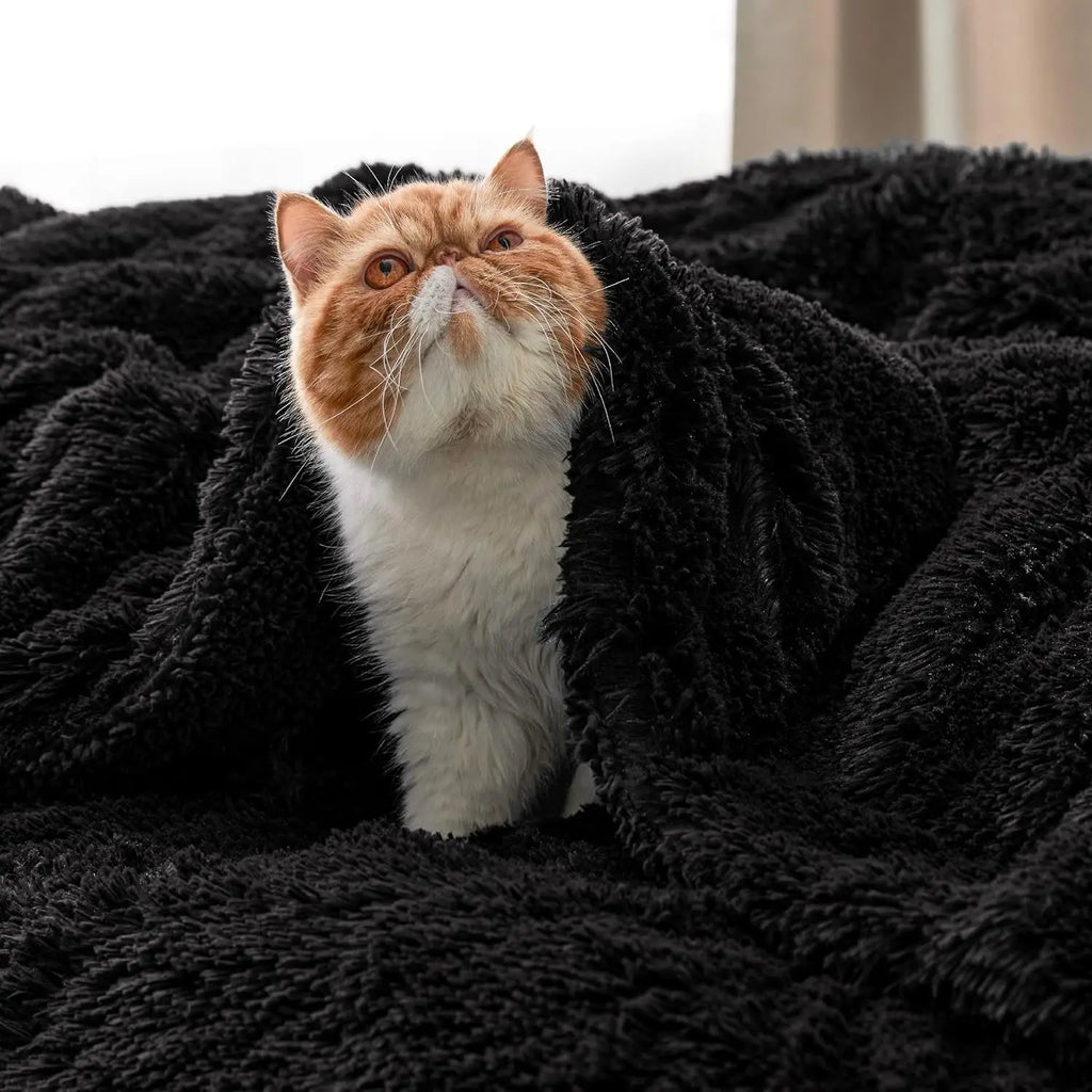 Black Fluffy Faux Fur Sherpa Throw Blanket - Soft Plush Reversible Blanket for Couch & Bed