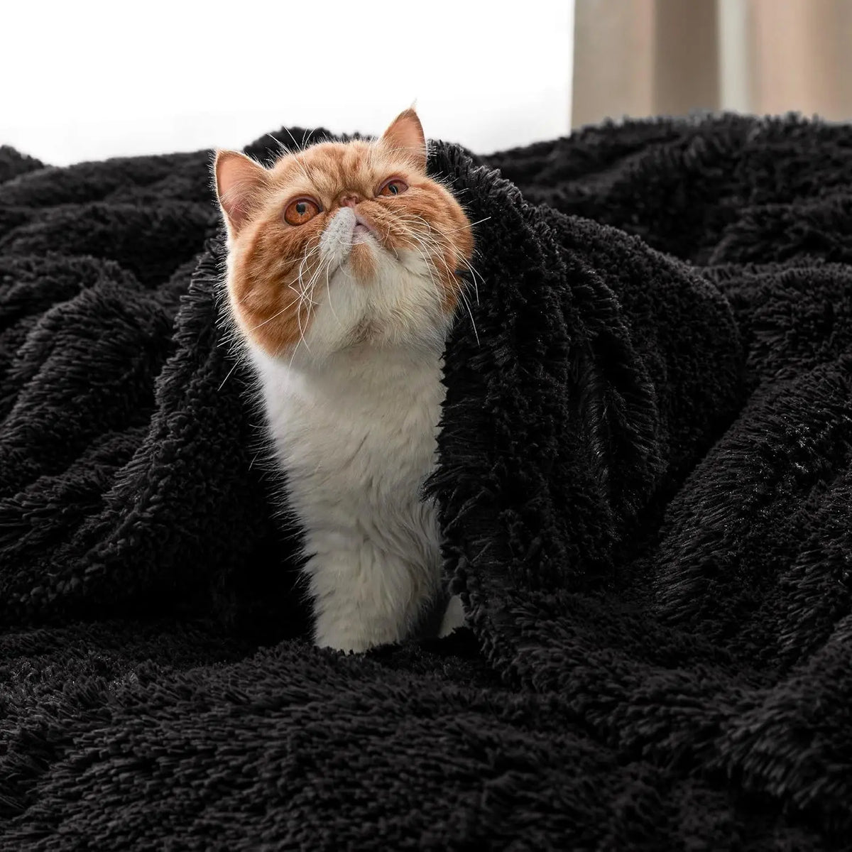 Black Fluffy Faux Fur Sherpa Throw Blanket - Soft Plush Reversible Blanket for Couch & Bed