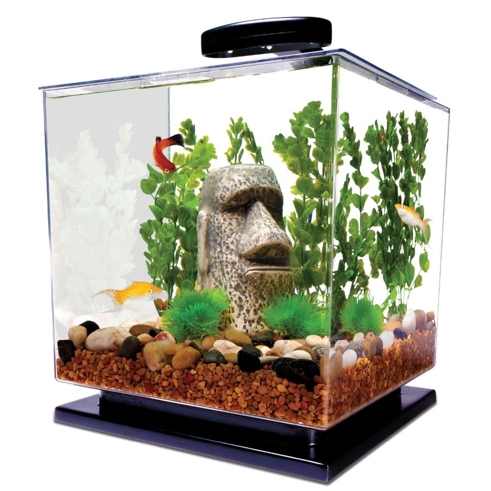 Tetra 3-Gallon Fish Tank Starter Kit with LED Light & Filter