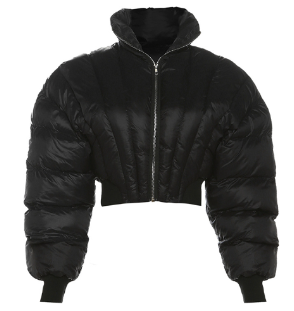 2023 Women's Zip Up Cropped Puffer Jacket (One Piece)